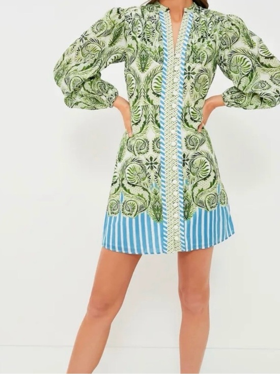 Anna Cate Dresses & Skirts - Anna Cate Printed Green & Blue Mini Dress with Long Puff Sleeves🌷